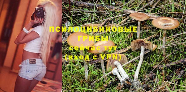 spice Переславль-Залесский