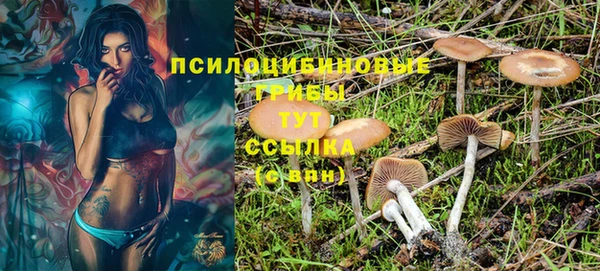spice Переславль-Залесский