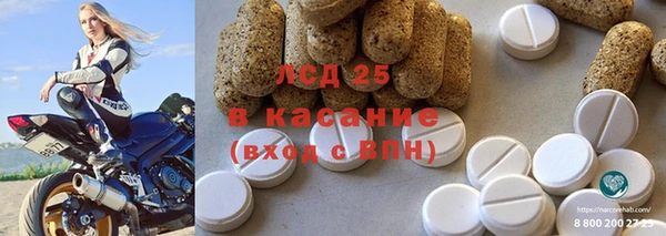 стаф Чегем