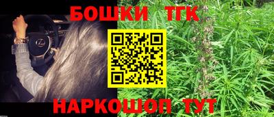 индика Гагарин