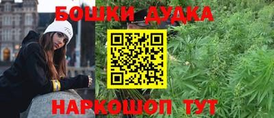 индика Гагарин