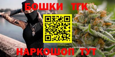 индика Гагарин