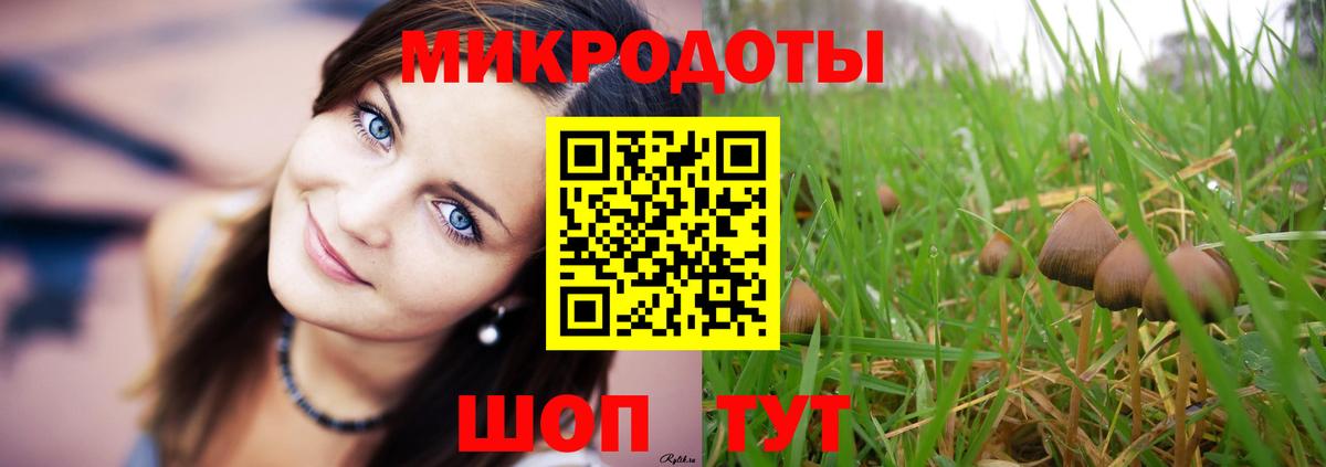 магазин продажи   Галлюциногенные грибы Psilocybine cubensis  Вход с VPN  Волоколамск  Галлюциногенные грибы Magic Shrooms 